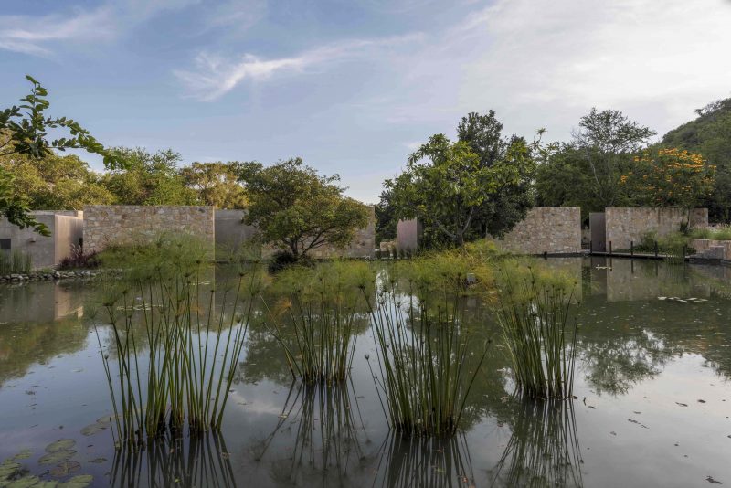 Jardín Agua Viva