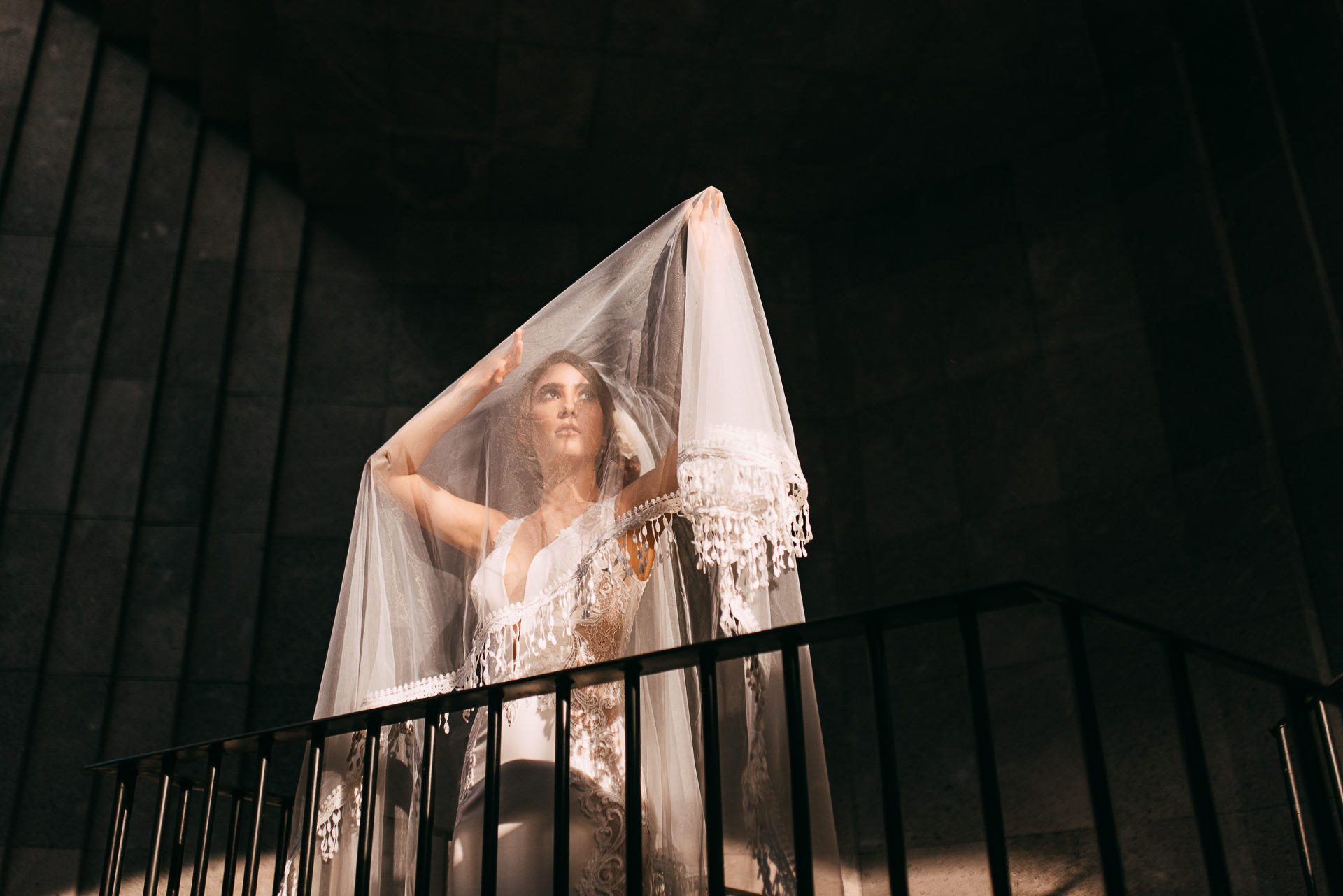 ana ferro