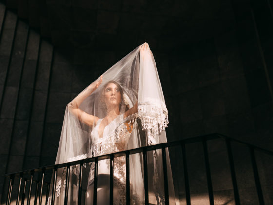 ana ferro