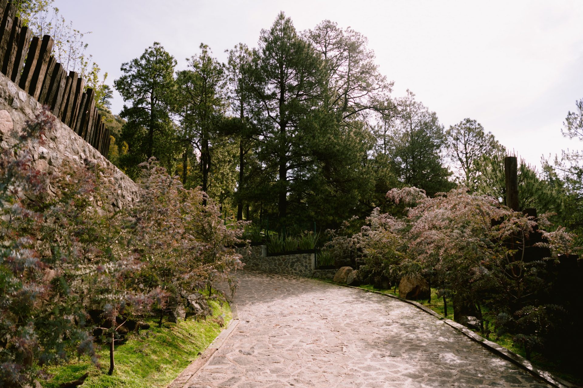 Jardín Rancho la Peña