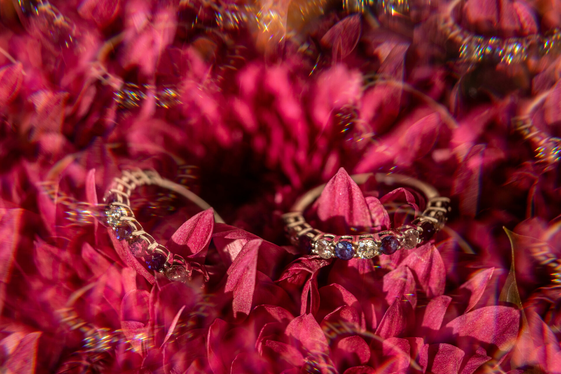 joyeria certe