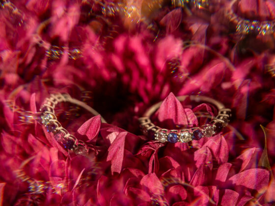 joyeria certe
