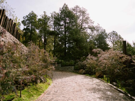 venue ideal boda