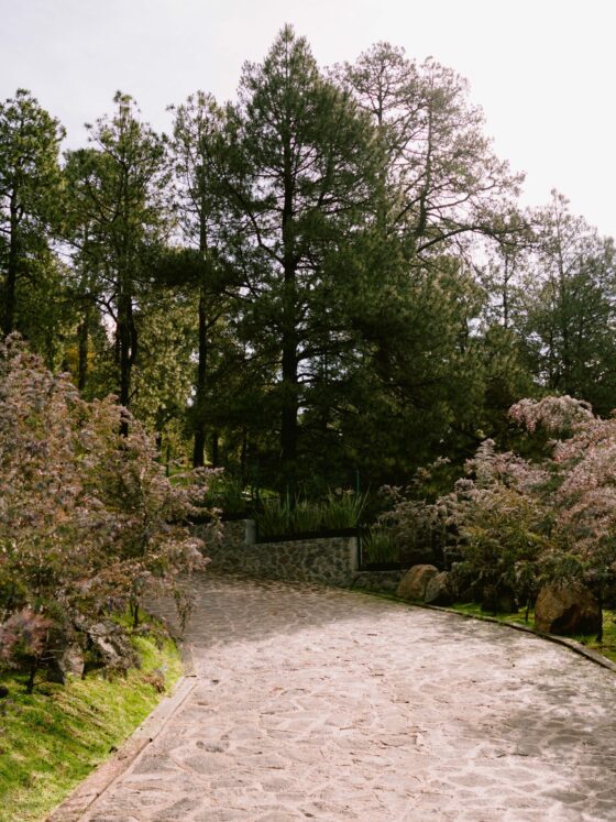 venue ideal boda
