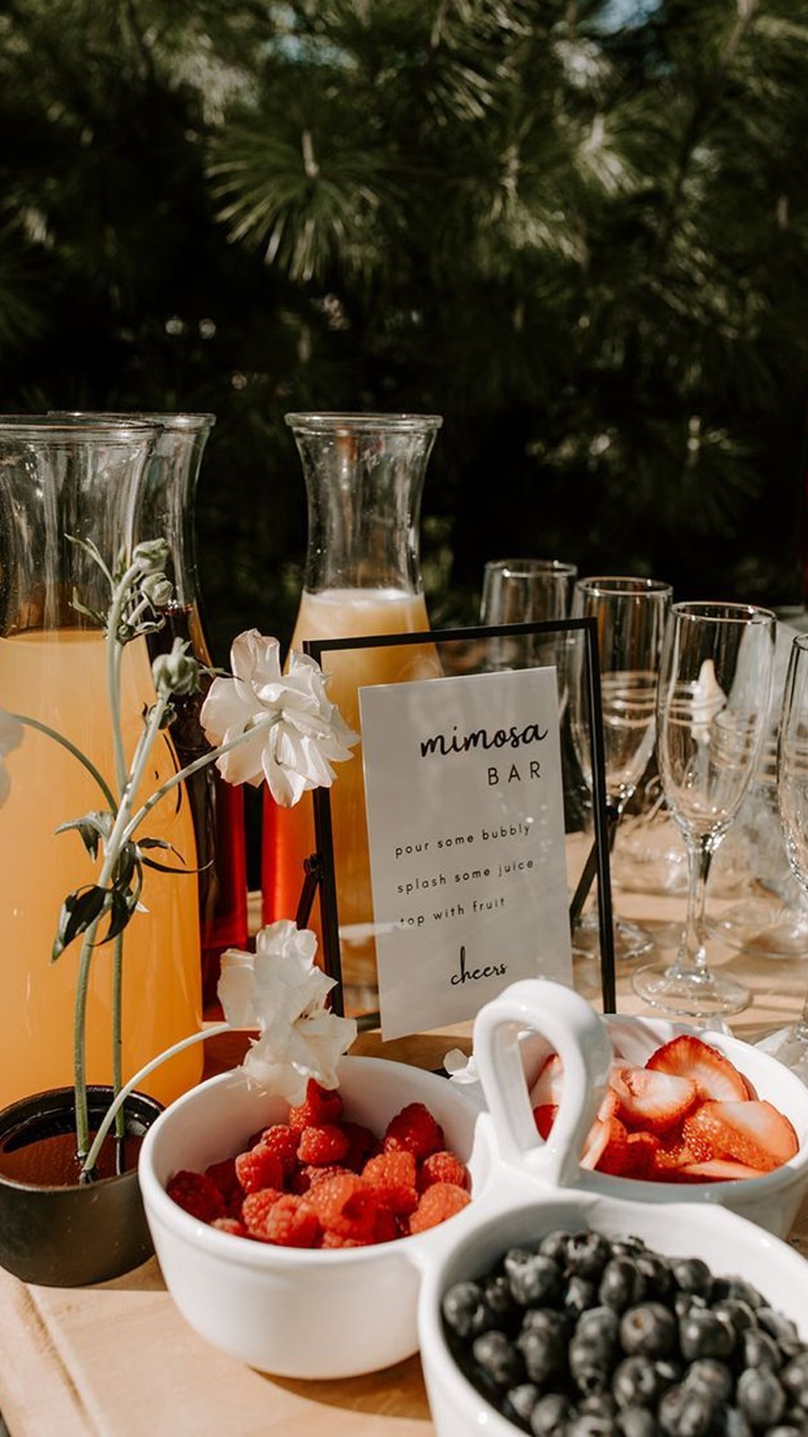 Barra de mimosas con jugos, fresas y moras para una tornaboda